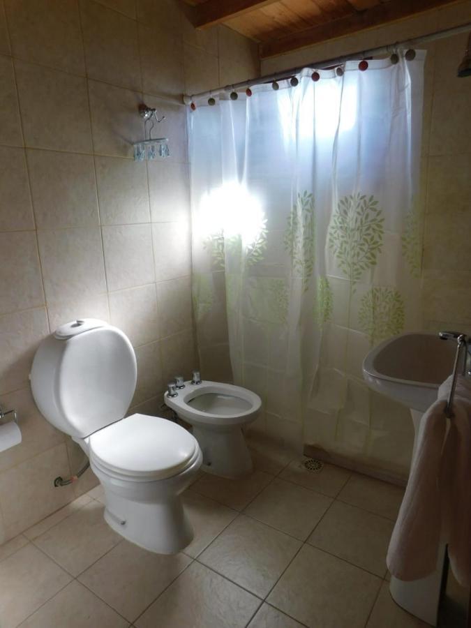 Cabanas Los Coirones إل كالافاتي المظهر الخارجي الصورة